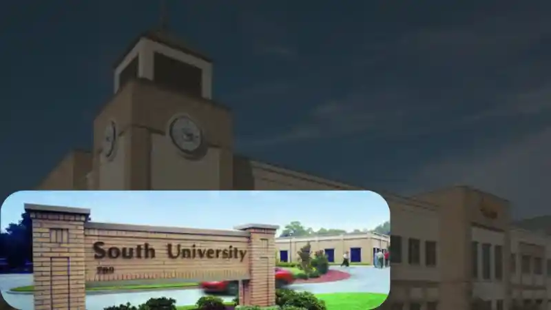 South University West Palm Beach: Apply for brilliant Academic and campus life