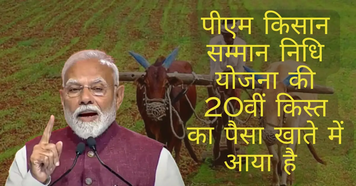 Finally PM Kisan Samman Nidhi Status Check Online: Step-by-Step